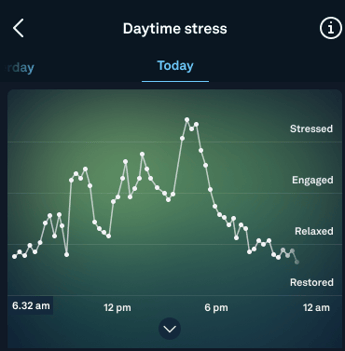 Daytime Stress Summary Oura